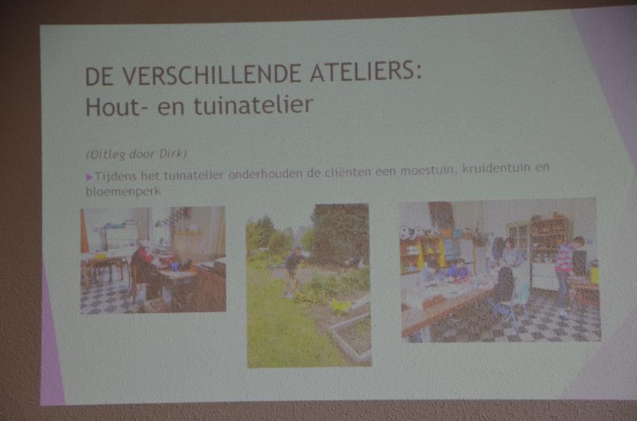 Activiteiten in de Ark © Mariette Dhondt