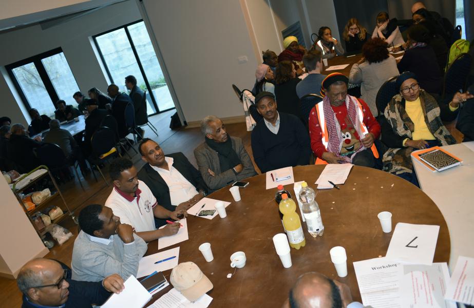 De workshops van de conferentie van de Eritrese diaspora in Brussel  © Brigitte Meuwissen