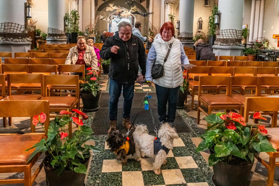 Dieren zegening-2809.jpg © Frans Verweft 