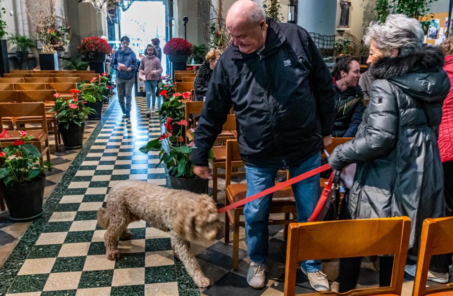 Dieren zegening-2816.jpg © Frans Verweft 