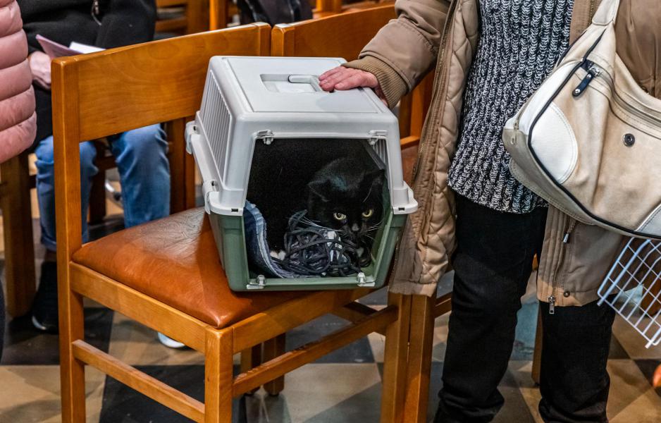 Dieren zegening-2820.jpg © Frans Verweft 