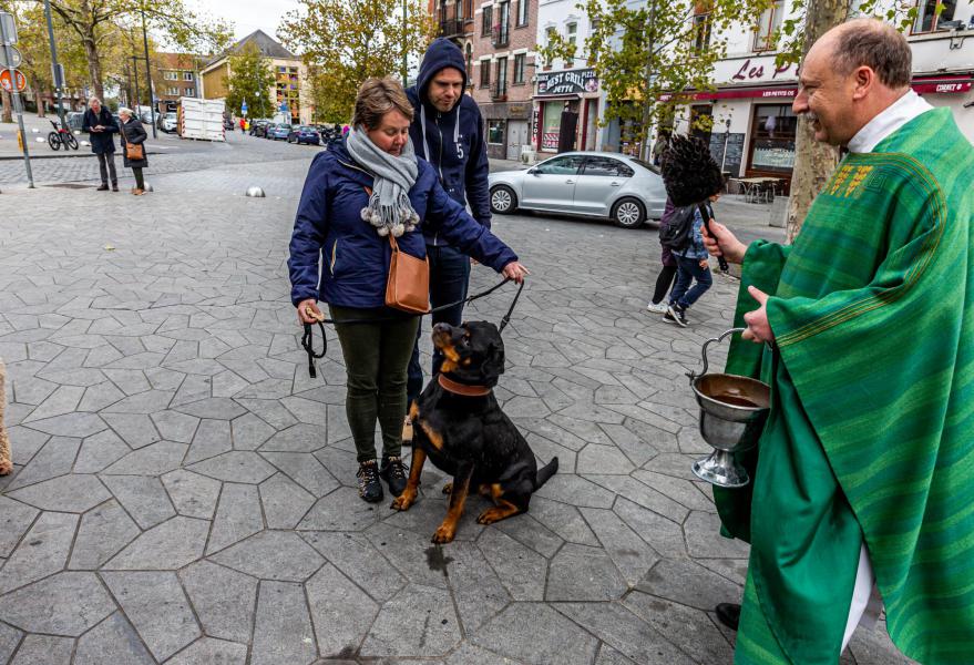 Dieren zegening-2863.jpg © Frans Verweft 