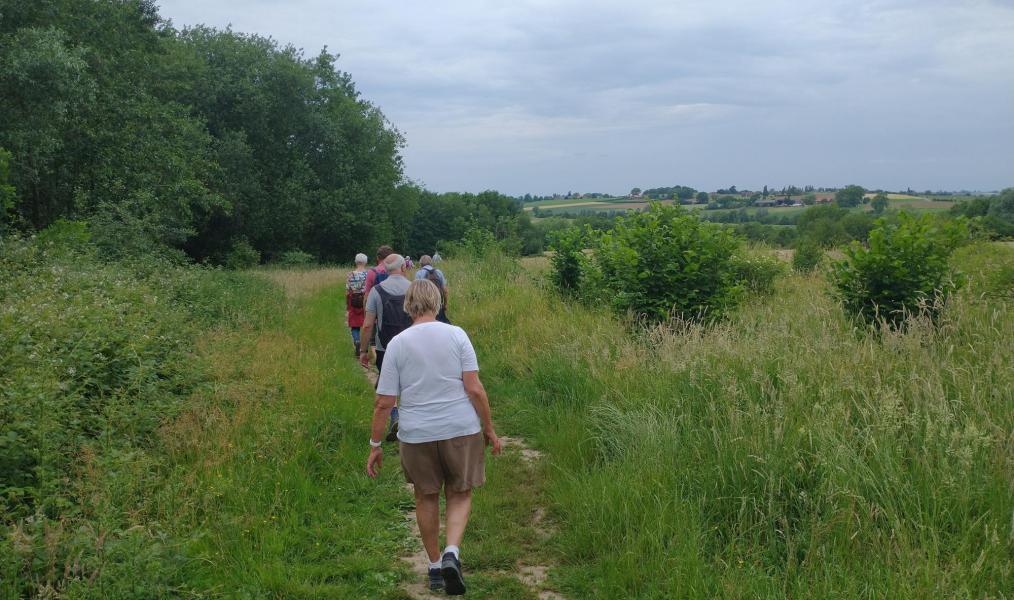 Ecokerk wandeling Heuvelland © Mattias Lelie