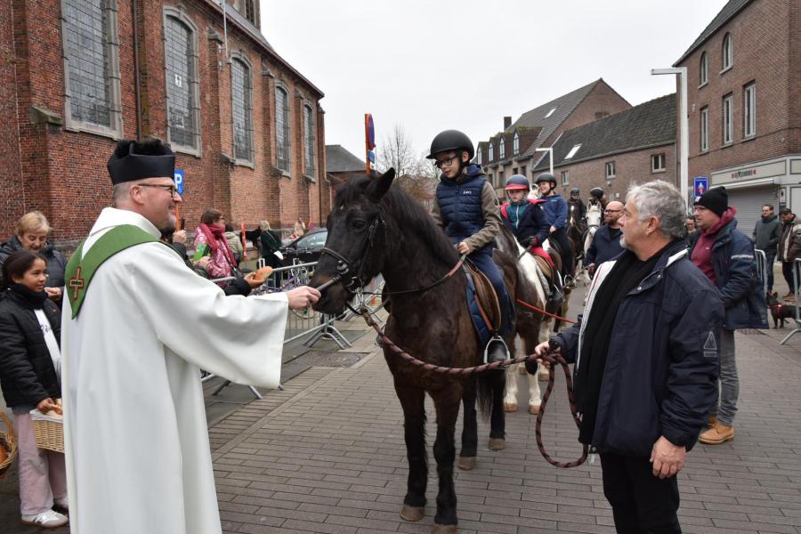 Paarden- en dierenzegening 
