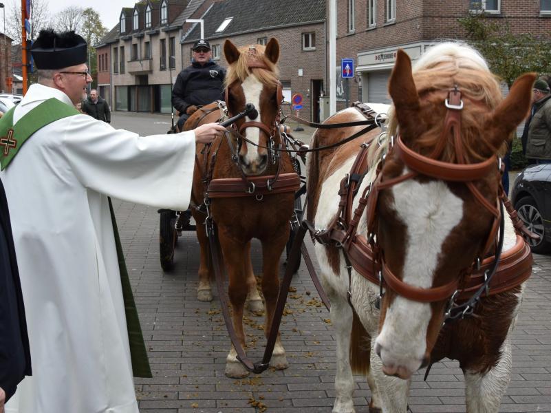Paarden- en dierenzegening 