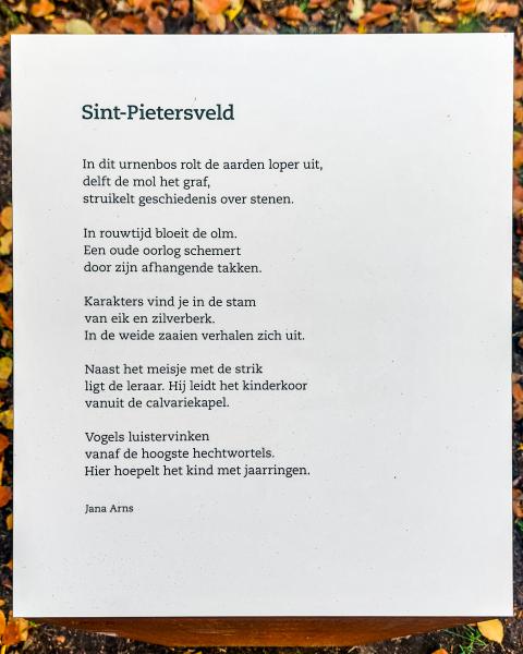 St Pietersveld 