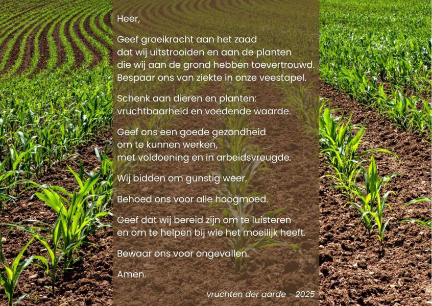 Viering voor de vruchten der aarde in Zwevezele 
