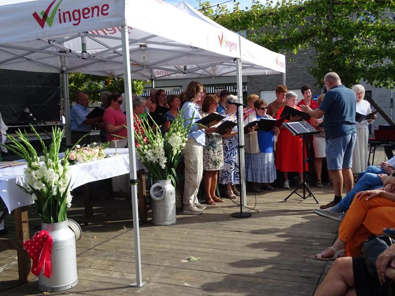 Eucharistieviering op het kerkplein in Wingene 