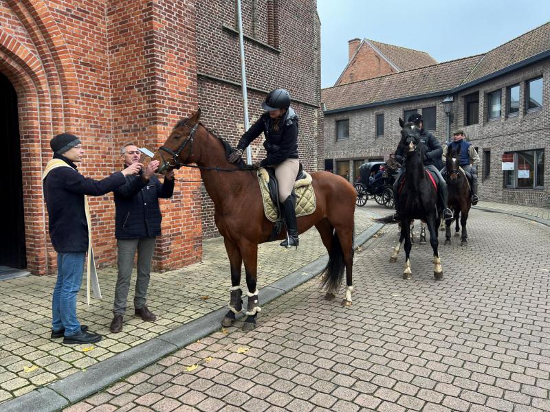 Paardenzegening op Sint-Elooisfeest 