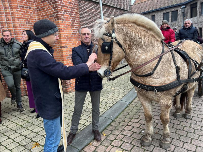 Paardenzegening op Sint-Elooisfeest 
