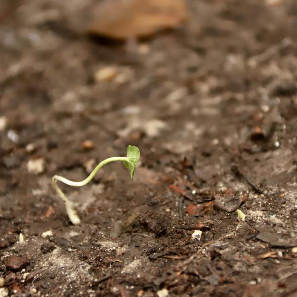 'Jezus inspireert' - Decanaat Tielt 