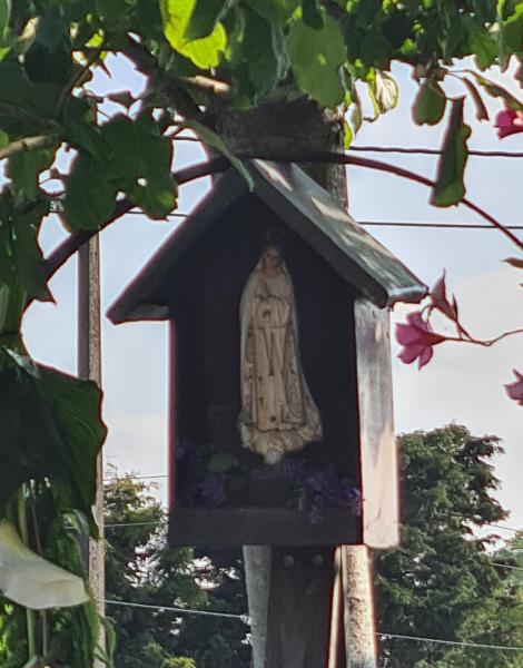 Meimaand is Mariamaand, ook in Wingene 