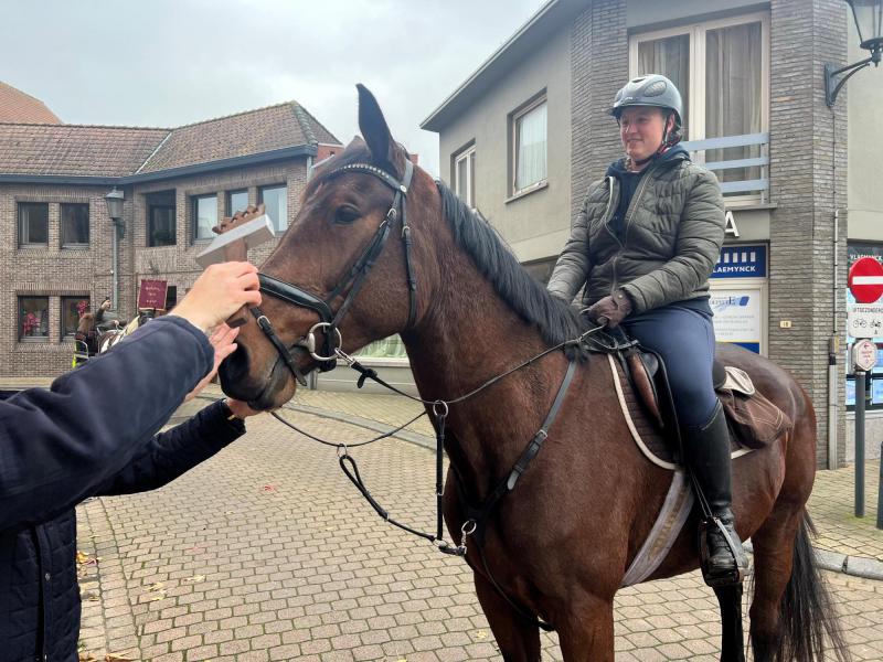 Paardenzegening op Sint-Elooisfeest 