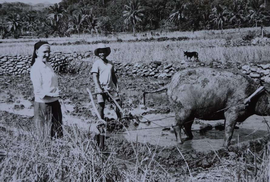 Zuster Renata leefde nauw samen met de plaatselijke bevolking. Hier bij een boer aan het werk op zijn veld met een buffel.  © CVDM