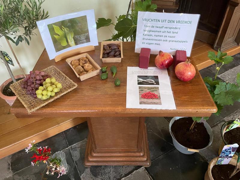 Vruchten der aarde in Sint-Maurus Elsegem  © H.Thomasparochie