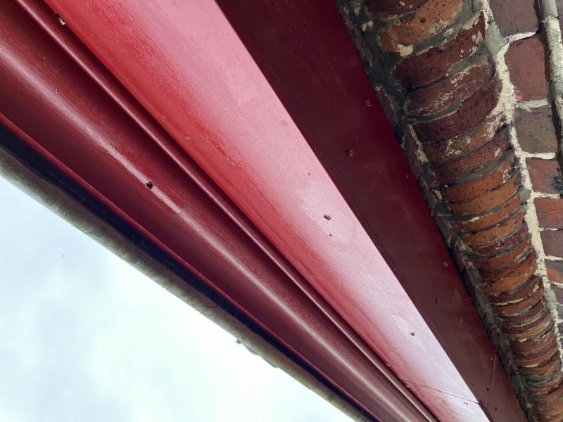 Kerk Kleit © (c) Parochie Maldegem