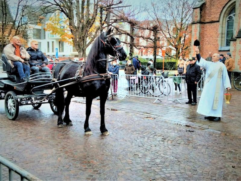 Paardenzegening Stekene 2021-1 