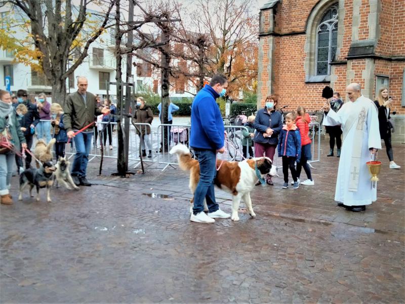 Paardenzegening Stekene 2021-2 