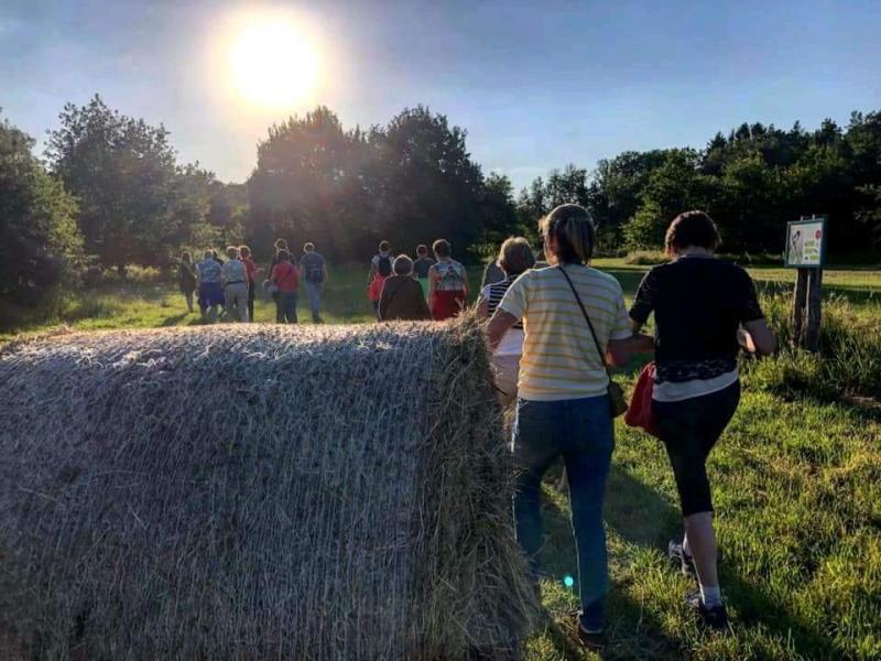 Een van de fijne zomerwandelingen van KVLV-Hern. © KVLV-Hern