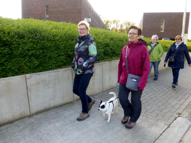 Femma wandelingen  