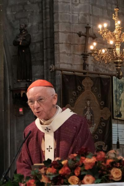 Kardinaal Jozef De Kesel tijdens de homilie. © Hugo Casaer