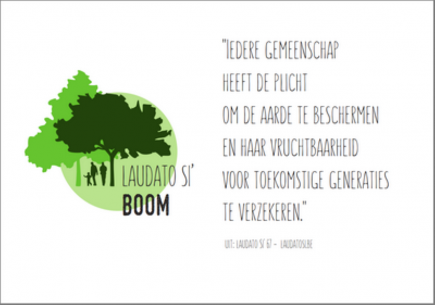Laudatosiboom 