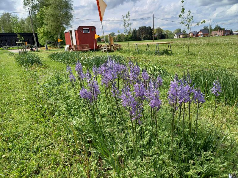 Bloemekeet in Ramsel 