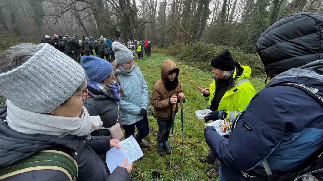 Kerstwandeling 3 © Tom Thoelen