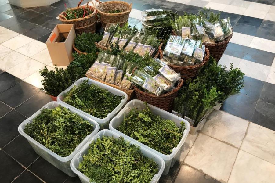 Palmtakjes uit de kerken van onze parochie, klaar om gewijd te worden. © JVG