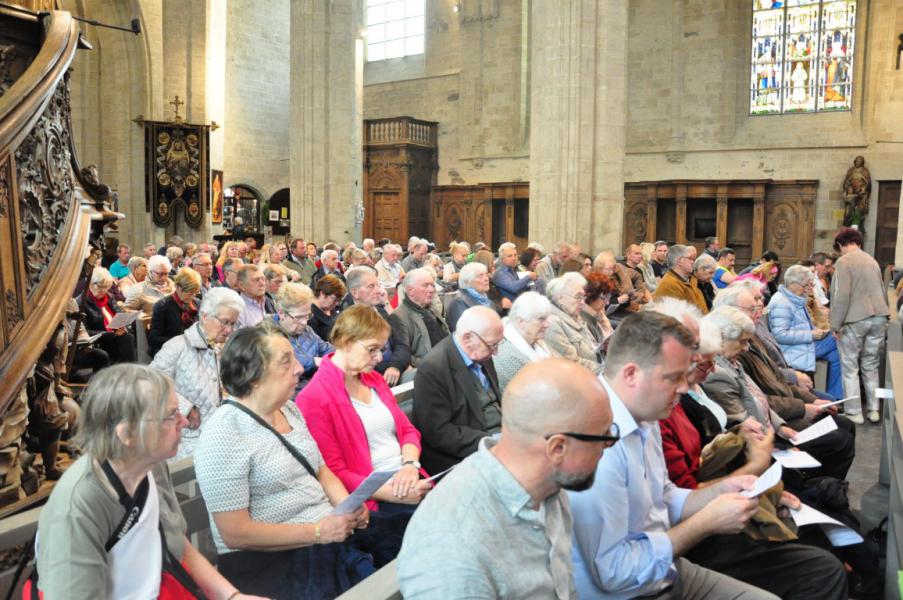 Bedevaart naar Halle © Daniël Duwyn