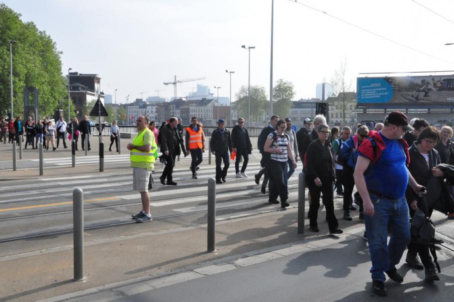 Bedevaart naar Halle © Daniël Duwyn