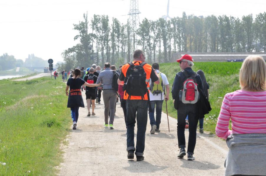 Bedevaart naar Halle © Daniël Duwyn