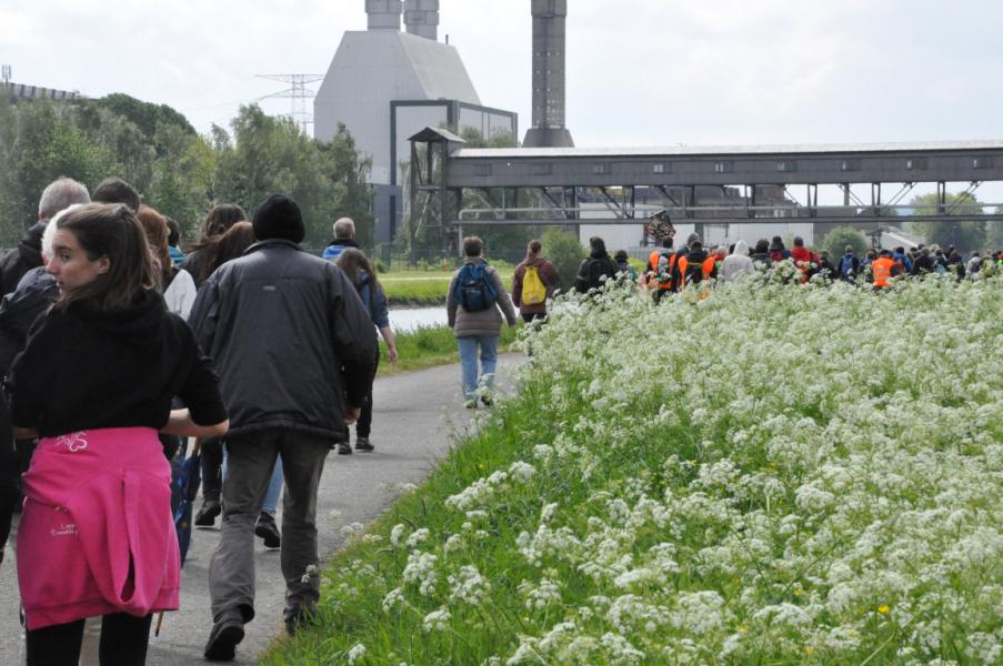 Bedevaart naar Halle © Daniël Duwyn