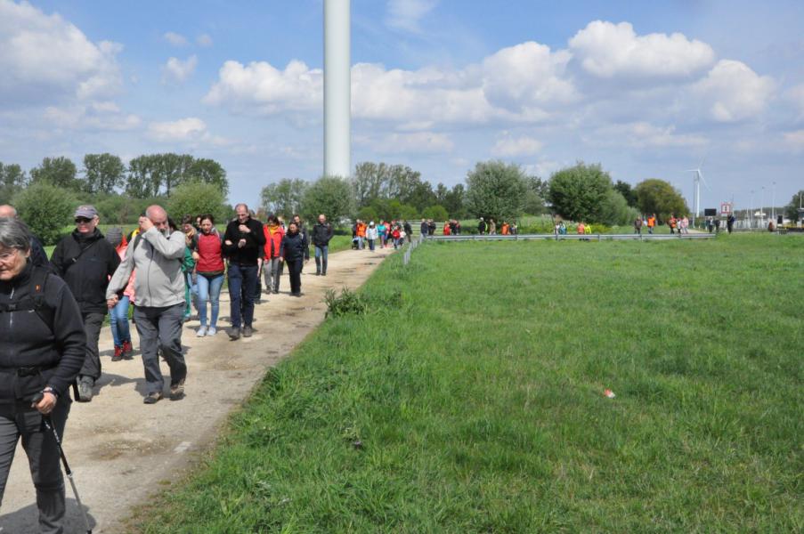 Bedevaart naar Halle © Daniël Duwyn