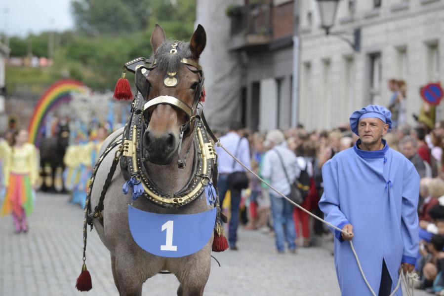 Cavalcade 2013 © Luc Hilderson
