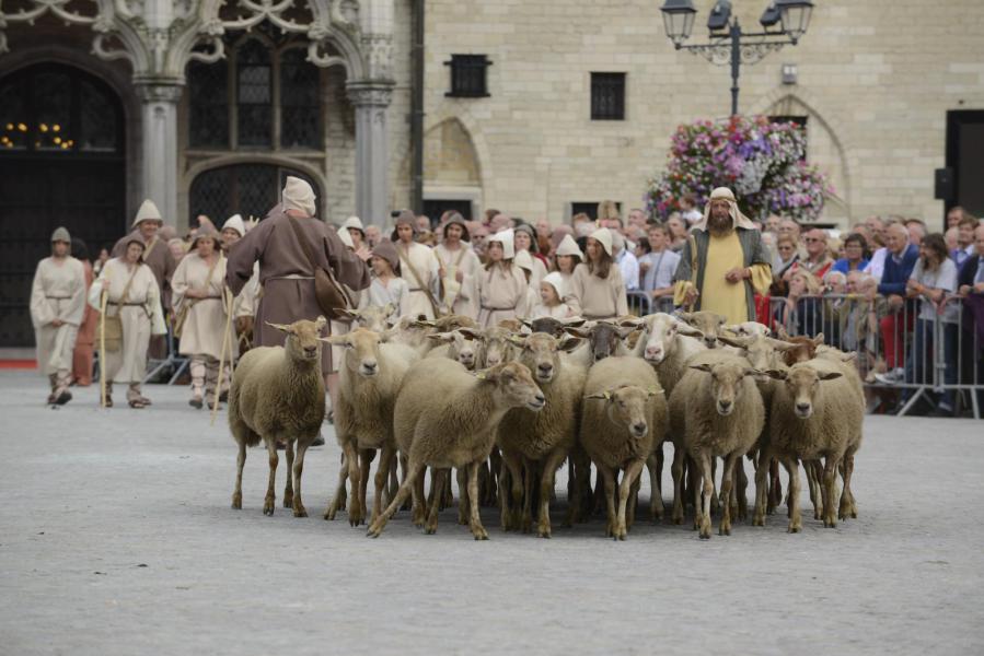 Cavalcade 2013 © Luc Hilderson