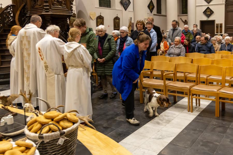 St.-Hubertusviering 2024 te Drongen © Caroline Desmet