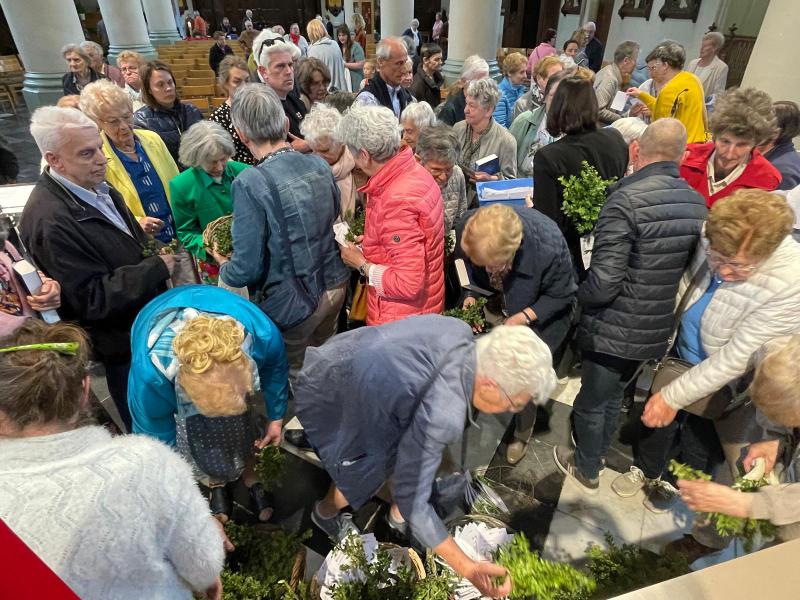 Palmzondag in de Sint-Amanduskerk van Wingene 