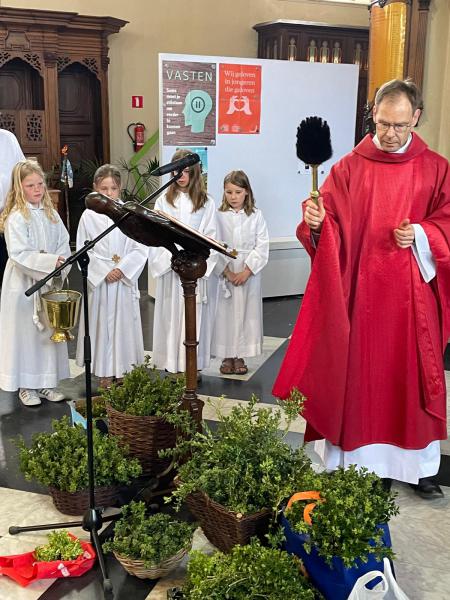 Palmzondag in de Sint-Amanduskerk van Wingene 