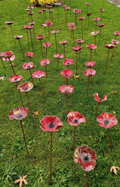11 november - Wapenstilstand - Viering in Wingene 