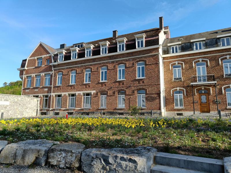 De bloemen in de vernieuwde tuin van het klooster waar Onze-Lieve-Vrouw verscheen. © Paul Renders