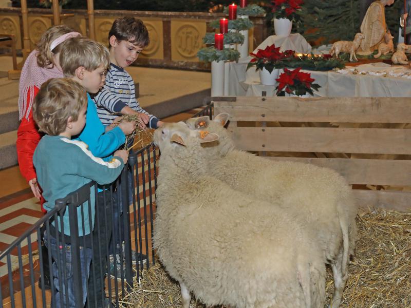 Sfeervolle kerstavond in Rooierheide 