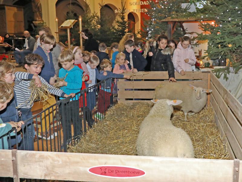 Sfeervolle kerstavond in Rooierheide 