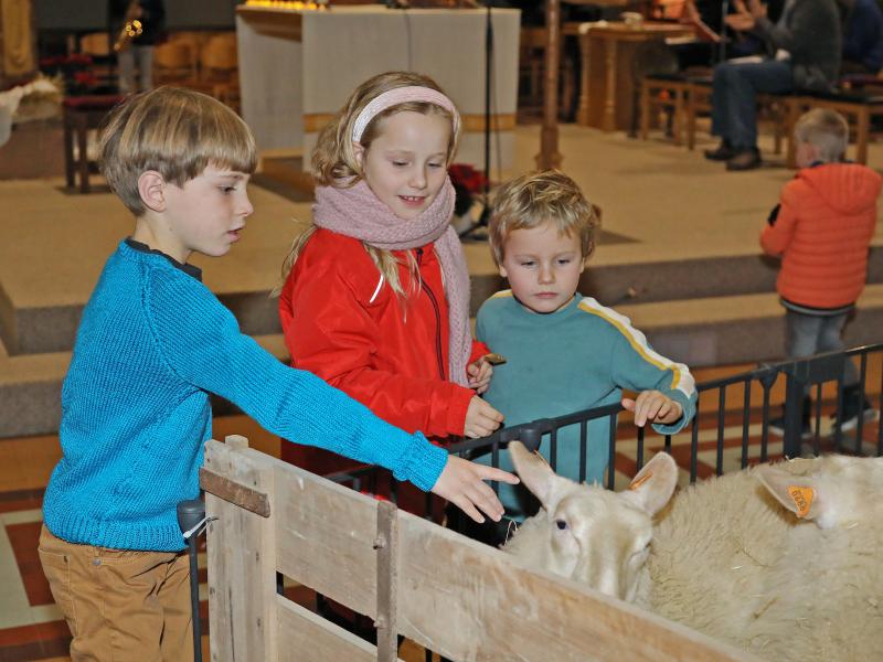 Sfeervolle kerstavond in Rooierheide 