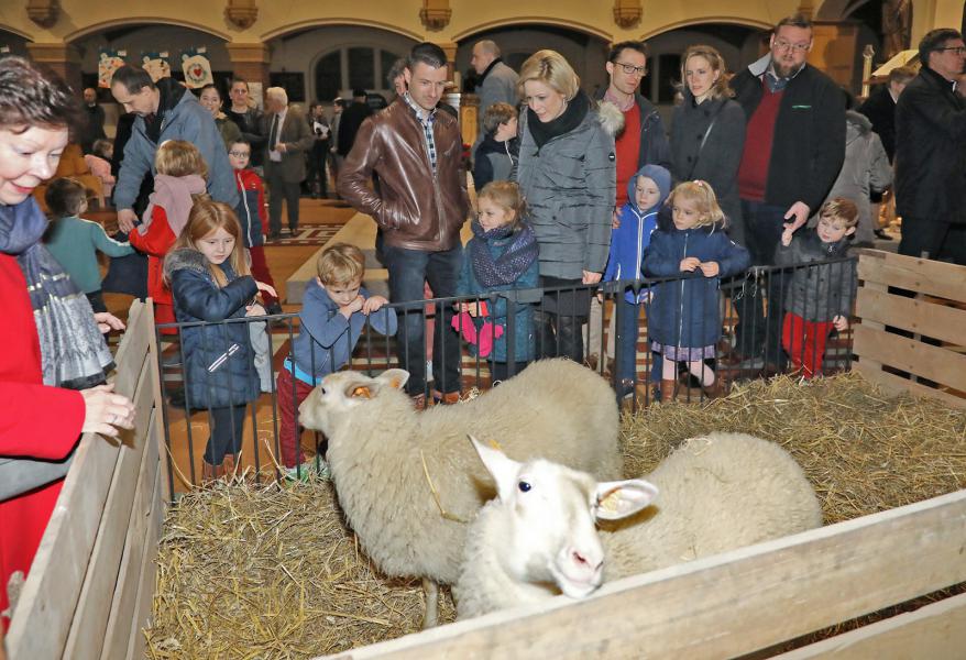 Sfeervolle kerstavond in Rooierheide 