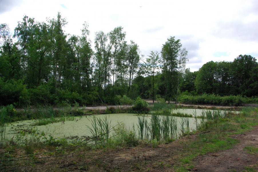 wandeldag Waterschei 