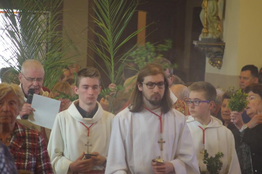 processie met palmwijding © Paul Loman