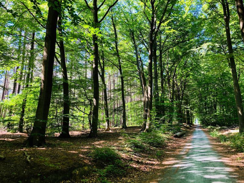 Omgeving kapel van Steenbergen © Chris De Groote