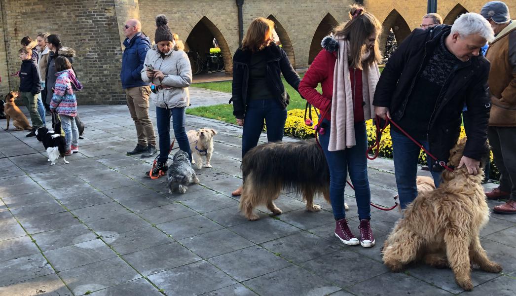 Sint Hubertuszegening 
