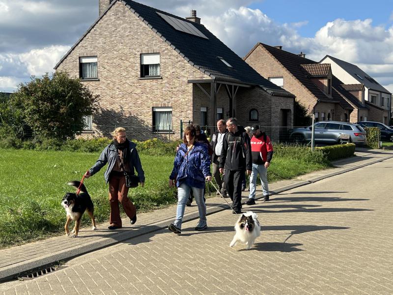 Wandeling in Meerbeek met, Jan , Floris, Guy, Brigitte , Ilse , Frieda, Chris D, Hedwig , Kristof, Chris DG, en honden Tiana, Aiko © Chris De Groote